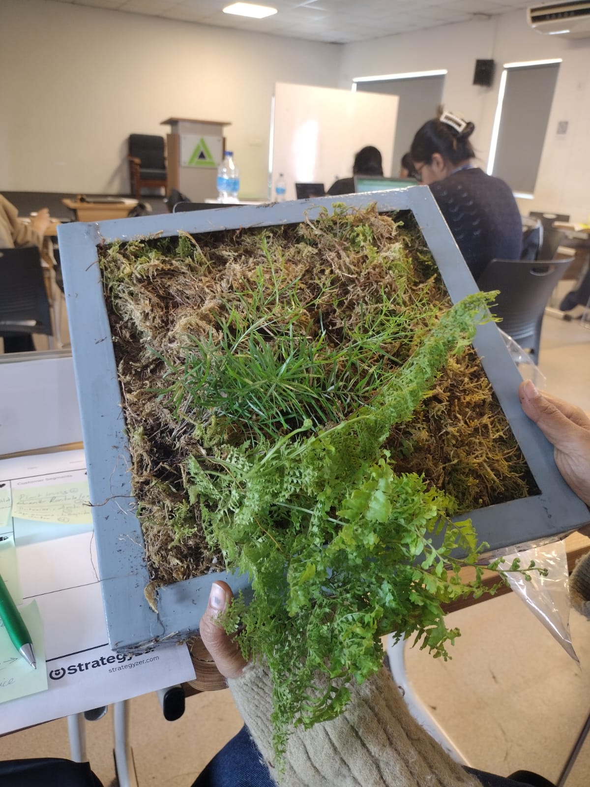 Moss panel prototype showcasing textured moss wall design